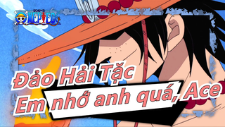 [Đảo Hải Tặc] Luffy: Em nhớ anh quá, Ace - 9 năm sau trận chiến thượng đỉnh