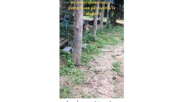 น้องน่ารักกกก 💕