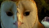 the Owl of ga'hoole