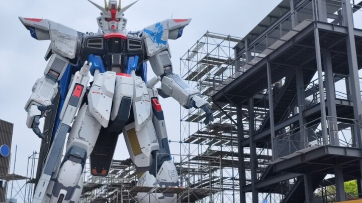 [Shanghai Freedom Gundam] Rasanya lebih baik dengan scaffolding