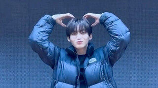 【CRAVITY】Cụ Đình Mạc thử thách "Gấu bông + Hoa anh túc": Tại sao lại có cảm giác thích thú khi ép ng