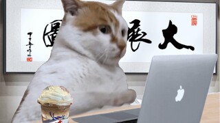 上班人的一天belike