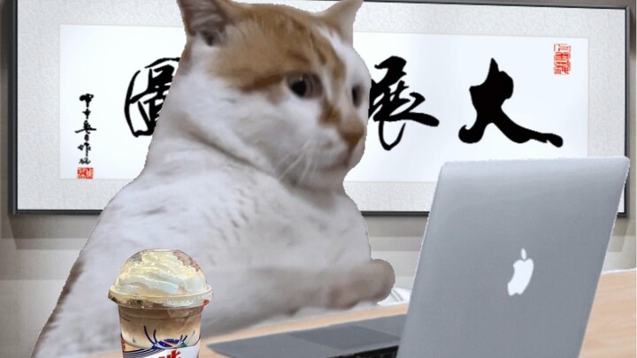 上班人的一天belike