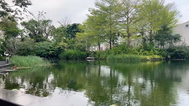 把每一件小事做好，就是了不起的开始。保持专注，稳步前行，用心对待每一份责任。不抱怨、不松懈，用行动证明价值，以热爱奔赴目标，今日全力以赴，未来自有答案