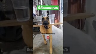 นี่คือจอมยุทธ