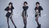 【泡面】ANIMAL☆(*ΦωΦ*)~