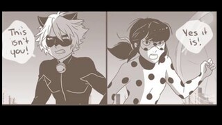 This isnt you | Miraculous Ladybug | Comic dub