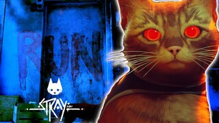 The TERRIFYING Backstory of Stray Explained