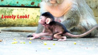Amazing Baby....Bean Baby Performs Nice Job Around His Old Mommy Barry
