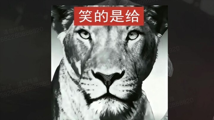 “Cười là cho”