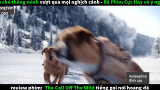 chú chó thông minh p4 #reviewphimdinhcao