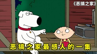 恶搞之家最感人的剧情：布莱恩寻亲之旅，寻找当年被家人抛弃真相