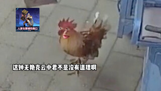 鸡：错了不整了