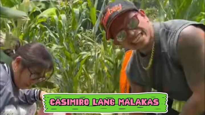 casimiro kwadro alas
