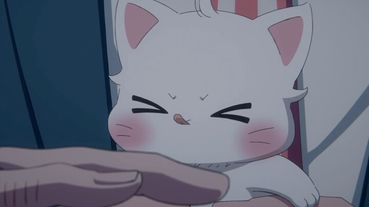 It seems to know that it is cute