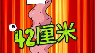 鸭鸭自己“卷”起来了