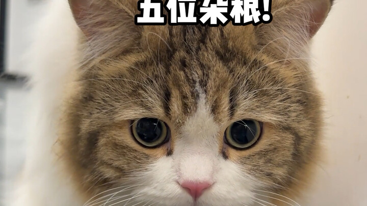 بصراحة، يبدو أن حالته ميئوس منها فعلاً!