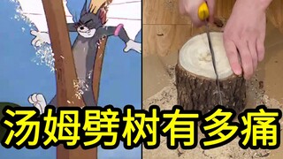 我算出了汤姆劈树力量有多大？到底有多痛？