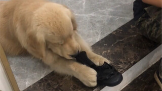 Now I'm waiting for the neighbor to come back and compensate the person.