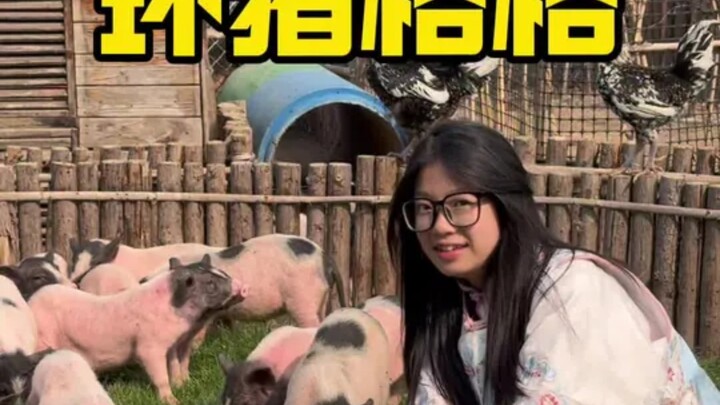 การได้เป็น “องค์หญิงหมูวงแหวน” สักวันหนึ่ง มันจะเป็นยังไงนะ!!!