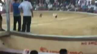 onehit
