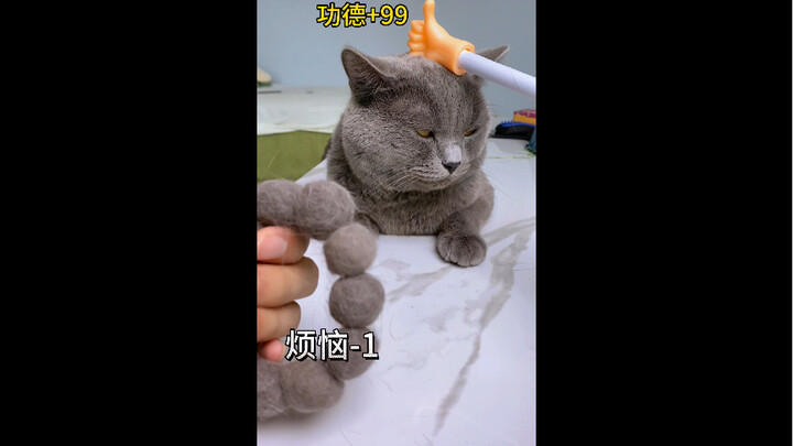 เจอขนแมวอย่าเพิ่งทิ้งนะ ลองมาทำของแฮนด์เมดตามใจชอบก็เจ๋งไม่เบาเลยล่ะ