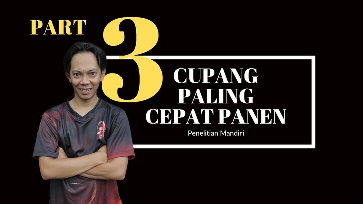 cupang paling cepat panen part 3