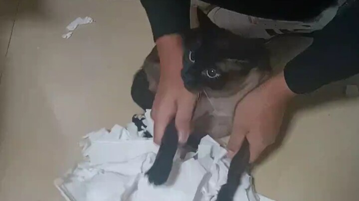 مغرم بورق التواليت لدرجة أنه اشترى كيسًا كبيرًا بـ24 لفة، لكنه لا يستخدم سوى 5-6 لفافات فقط؛ البقية 