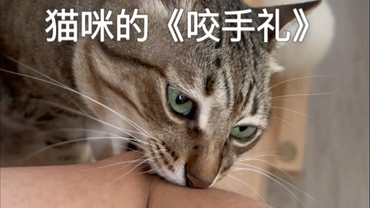 Ada perbedaan antara menggigit tangan sebagai salam dan menggigit sampai mati