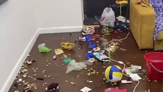国外妈妈记录自己在家搞大扫除的一天，这个脏乱程度是我没想到的..