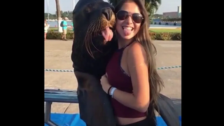 🔥🔥 สัตว์โลกน่ารัก ตลก ฮา ๆ กวน ๆ