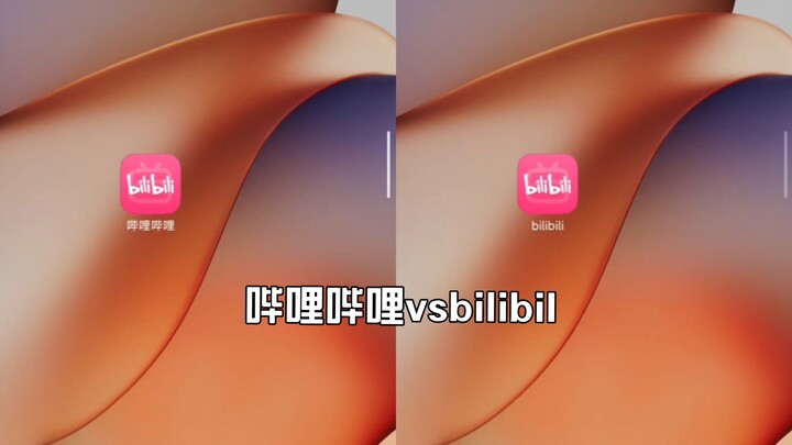 Bilibili vs. Bilibil