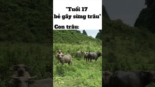 *Ghê ghê