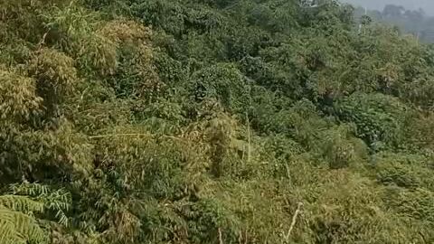 pemandangan