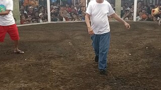 Talisay vs Bulik 7x winner naka Chamba tayo sa 7x winner ganda ng laban