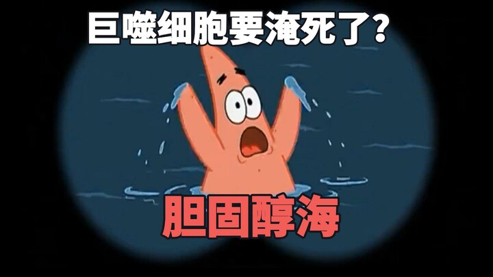 Mở ra kiến thức y học theo phong cách SpongeBob?