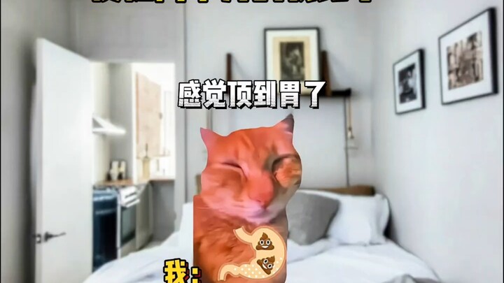 便秘两个月的我终于……