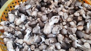 Theo Chân Bác 2 Đi Chợ Mua Núm Cười Đau Cả Ruột.Góc Làng Quê
