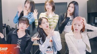 IVE reaction Kitsch MV中字，自己看自己！