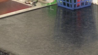 Egg Experiment to Demonstrate Inertia