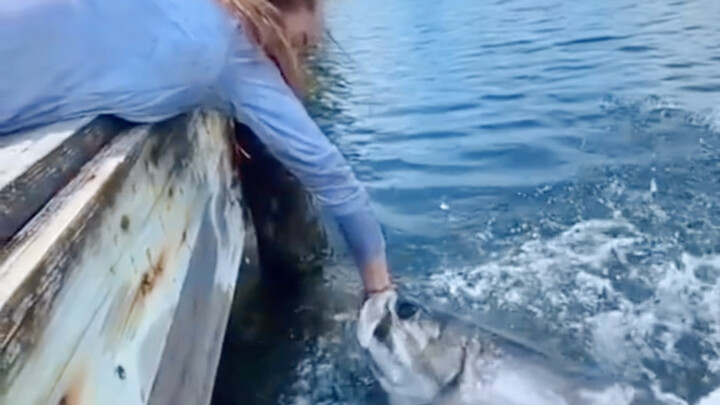 Fish: The newbie gift pack you ordered?