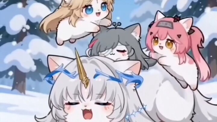 Jie is a litter of trendy cats.