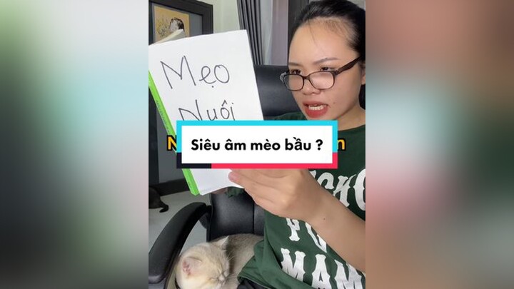 Nhà mình thì đi hai lần nha mèo cat thaomeo LearnOnTikTok meohay