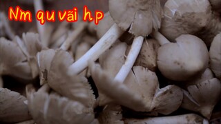 Nấm quả vãi hấp