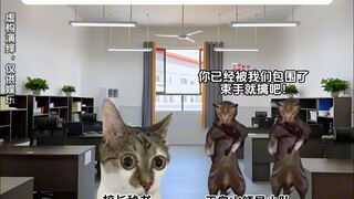 当我减肥时遇到了学校领导视察（合集）