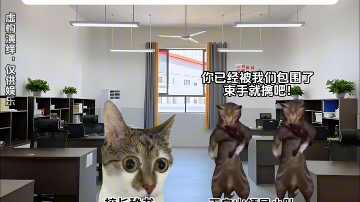 当我减肥时遇到了学校领导视察（合集）