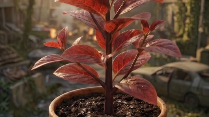 Growing the RED HERB from Resident Evil 🌿🔴