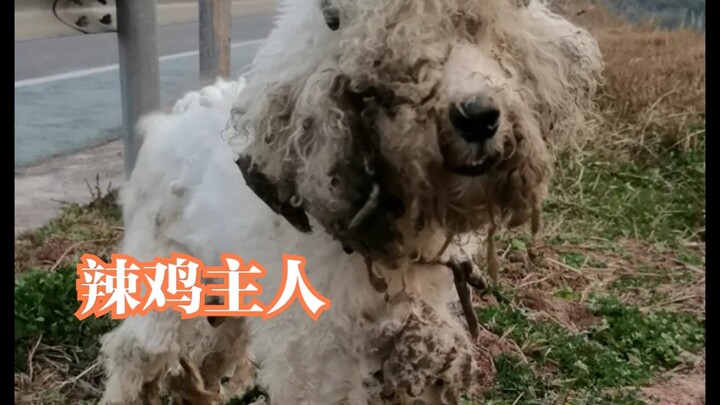 养成这样就抛弃，收拾好了是什么样子…期待～
