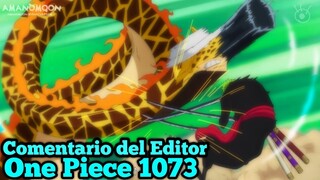 Comentario del Editor para el Capitulo 1073 de One Piece