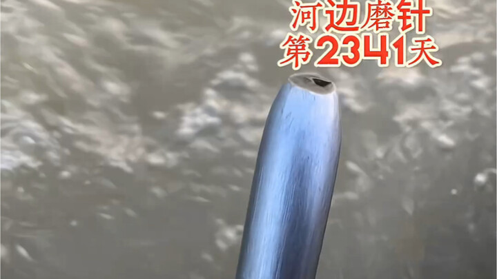 Sharpening the needle by the river, day 2341